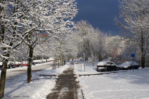DSC00231.JPG