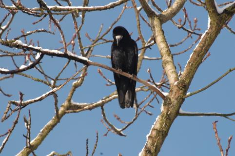 DSC_0430.JPG