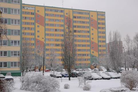 DSC_31.JPG