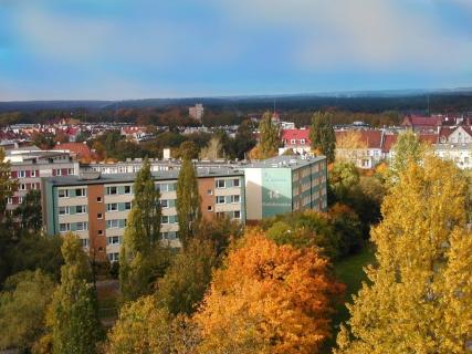 KALEND91_0.JPG