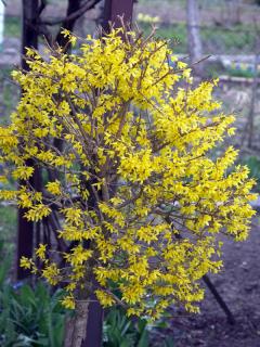 PICT0012.JPG